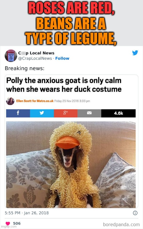 it's cute though :) | BEANS ARE A TYPE OF LEGUME, ROSES ARE RED, | image tagged in memes,funny,ducks,goats,roses are red,news | made w/ Imgflip meme maker