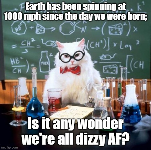 Dizzy AF | Earth has been spinning at 1000 mph since the day we were born;; Is it any wonder we're all dizzy AF? | image tagged in memes,chemistry cat,science,funny,humanity | made w/ Imgflip meme maker