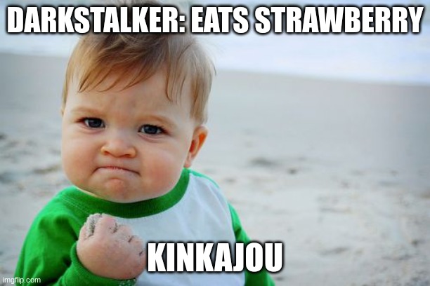 FUNNY WOF MEME | DARKSTALKER: EATS STRAWBERRY; KINKAJOU | image tagged in memes,success kid original | made w/ Imgflip meme maker