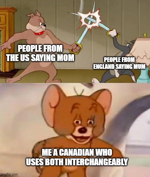 Acurrate tbh | PEOPLE FROM THE US SAYING MOM; PEOPLE FROM ENGLAND SAYING MUM; ME A CANADIAN WHO USES BOTH INTERCHANGEABLY | image tagged in tom and jerry swordfight,lamnguage is weird | made w/ Imgflip meme maker