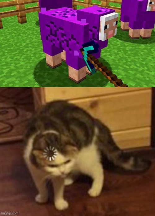 image tagged in loading cat,minecraft,gaming,sheep,break,memes | made w/ Imgflip meme maker