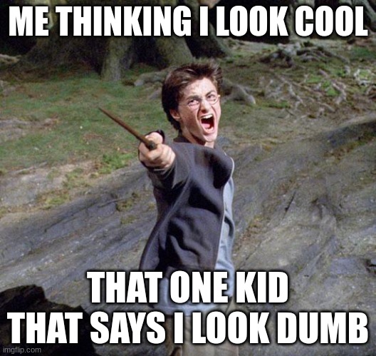 Harry potter | ME THINKING I LOOK COOL; THAT ONE KID THAT SAYS I LOOK DUMB | image tagged in harry potter | made w/ Imgflip meme maker