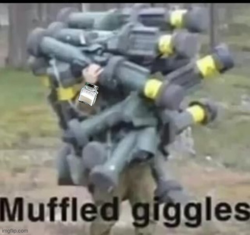 Muffled giggles | image tagged in muffled giggles | made w/ Imgflip meme maker