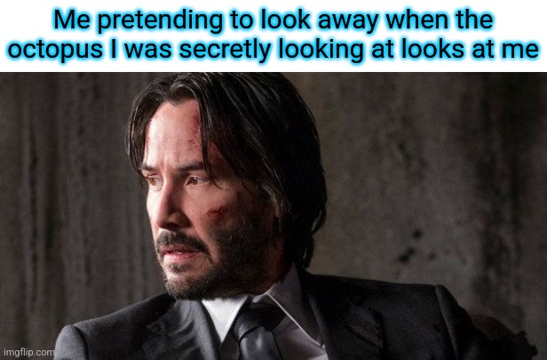 JOHN WICK | Me pretending to look away when the octopus I was secretly looking at looks at me | image tagged in john wick | made w/ Imgflip meme maker