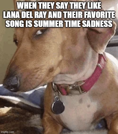 do you really or do you just like tiktok | WHEN THEY SAY THEY LIKE LANA DEL RAY AND THEIR FAVORITE SONG IS SUMMER TIME SADNESS | image tagged in side eye dog | made w/ Imgflip meme maker