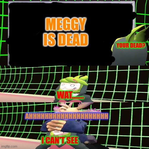meggy is now dead | MEGGY IS DEAD; YOUR DEAD? WAT....... AHHHHHHHHHHHHHHHHHHHH; I CAN'T SEE | image tagged in smg4 shocked melony | made w/ Imgflip meme maker
