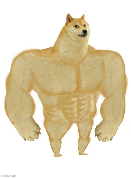 Swole Doge | image tagged in swole doge | made w/ Imgflip meme maker