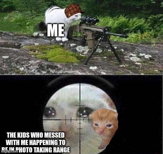 Sniper cat | ME; THE KIDS WHO MESSED WITH ME HAPPENING TO BE IN PHOTO TAKING RANGE | image tagged in sniper cat | made w/ Imgflip meme maker