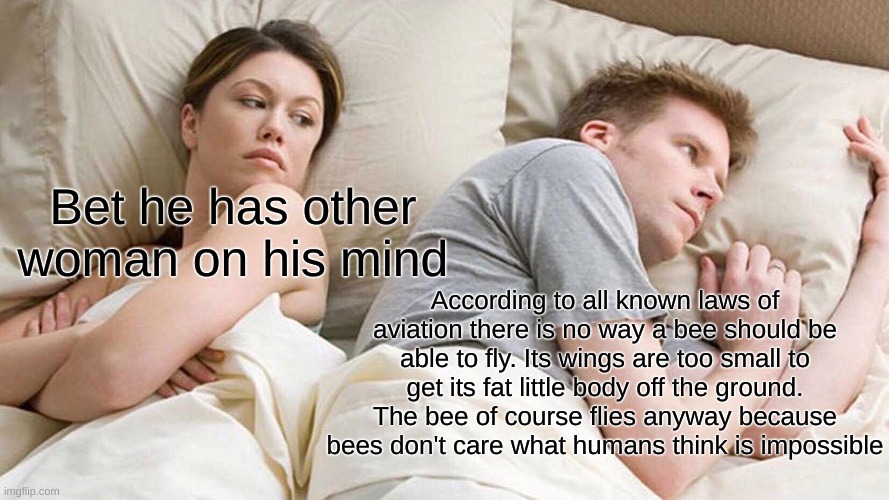 I Bet He's Thinking About Other Women | Bet he has other woman on his mind; According to all known laws of aviation there is no way a bee should be able to fly. Its wings are too small to get its fat little body off the ground. The bee of course flies anyway because bees don't care what humans think is impossible | image tagged in memes,i bet he's thinking about other women | made w/ Imgflip meme maker