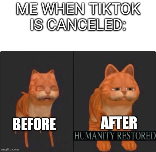 humanity restored | ME WHEN TIKTOK IS CANCELED:; BEFORE; AFTER | image tagged in humanity restored | made w/ Imgflip meme maker