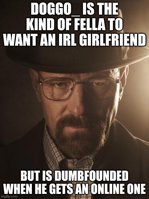 Walter White | DOGGO_ IS THE KIND OF FELLA TO WANT AN IRL GIRLFRIEND; BUT IS DUMBFOUNDED WHEN HE GETS AN ONLINE ONE | image tagged in walter white | made w/ Imgflip meme maker