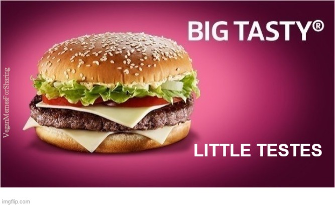 McDonald's | image tagged in vegan,veganism,mcdonalds,hamburger,cheeseburger,big mac | made w/ Imgflip meme maker
