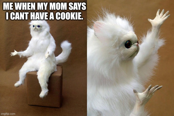 Persian Cat Room Guardian | ME WHEN MY MOM SAYS I CANT HAVE A COOKIE. | image tagged in memes,persian cat room guardian | made w/ Imgflip meme maker