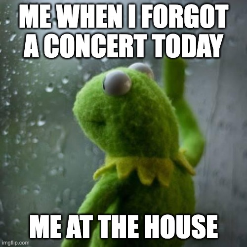 kermet window | ME WHEN I FORGOT A CONCERT TODAY; ME AT THE HOUSE | image tagged in kermet window | made w/ Imgflip meme maker