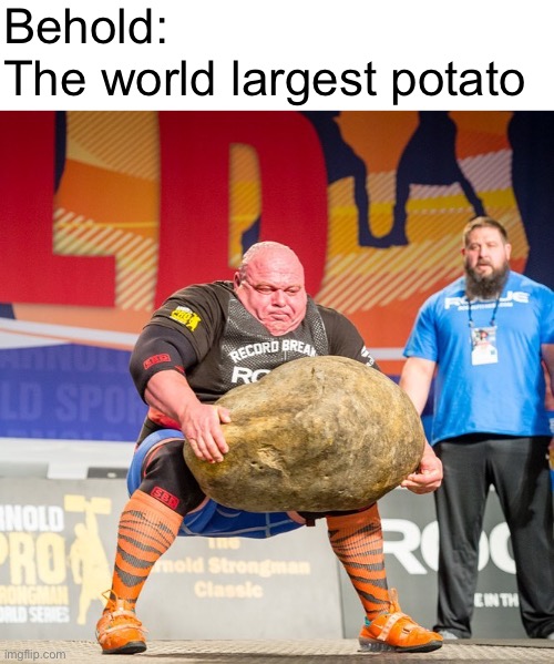 World's Largest Potato | Behold:
The world largest potato | image tagged in world's largest potato | made w/ Imgflip meme maker