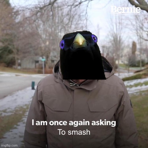Lemme smash | To smash | image tagged in memes,bernie i am once again asking for your support,lemme smash,bird | made w/ Imgflip meme maker