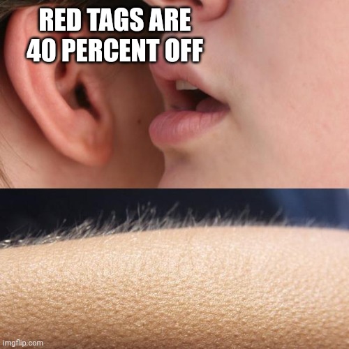 Whisper and Goosebumps | RED TAGS ARE 40 PERCENT OFF | image tagged in whisper and goosebumps | made w/ Imgflip meme maker