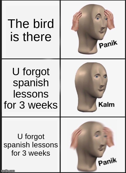 Panik Kalm Panik | The bird is there; U forgot spanish lessons for 3 weeks; U forgot spanish lessons for 3 weeks | image tagged in memes,panik kalm panik | made w/ Imgflip meme maker