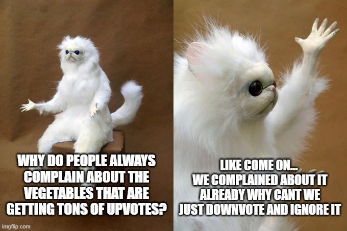 I'm not being judgmental...  I'm just tired of people complaining. | LIKE COME ON...  WE COMPLAINED ABOUT IT ALREADY WHY CANT WE JUST DOWNVOTE AND IGNORE IT; WHY DO PEOPLE ALWAYS COMPLAIN ABOUT THE VEGETABLES THAT ARE GETTING TONS OF UPVOTES? | image tagged in memes,persian cat room guardian,upvotes | made w/ Imgflip meme maker