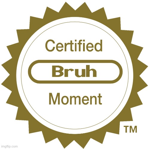 Certified bruh moment | image tagged in certified bruh moment | made w/ Imgflip meme maker