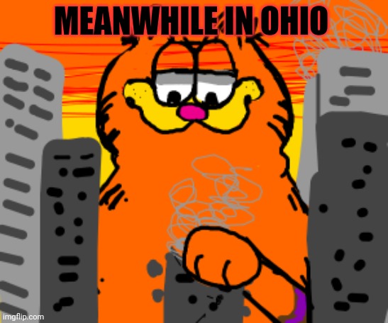 But why? Why would you do that? | MEANWHILE IN OHIO | image tagged in only in ohio,but why why would you do that,garfield | made w/ Imgflip meme maker