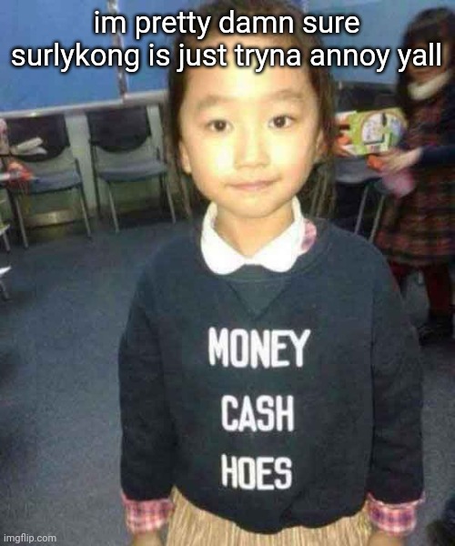 money cash hoes | im pretty damn sure surlykong is just tryna annoy yall | image tagged in money cash hoes | made w/ Imgflip meme maker