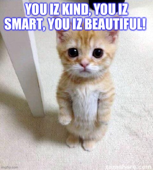 Cute Cat Meme | YOU IZ KIND, YOU IZ SMART, YOU IZ BEAUTIFUL! | image tagged in memes,cute cat | made w/ Imgflip meme maker