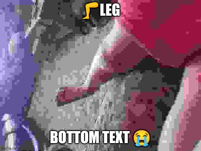The ? | 🦵LEG; BOTTOM TEXT 😭 | image tagged in leg,oh wow are you actually reading these tags | made w/ Imgflip meme maker