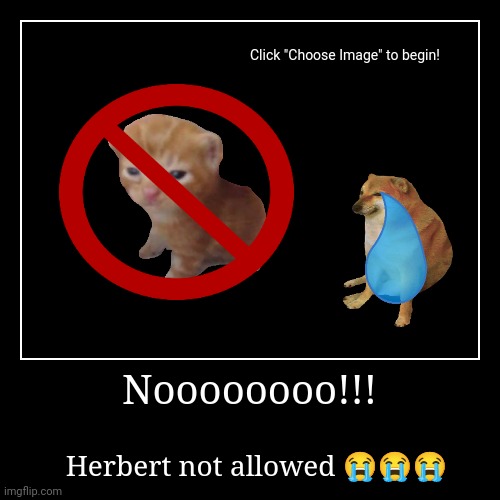 Noooooooo!!! | Herbert not allowed ??? | image tagged in funny,demotivationals | made w/ Imgflip demotivational maker