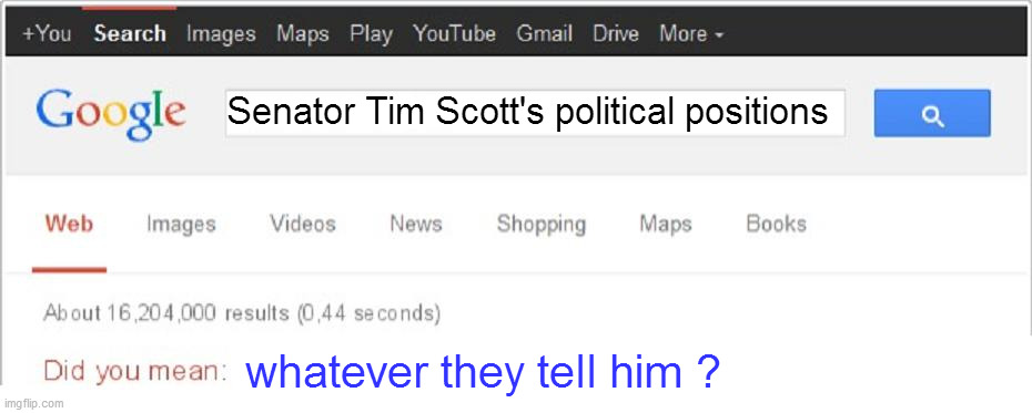 Did You Mean...? | Senator Tim Scott's political positions; whatever they tell him ? | image tagged in did you mean | made w/ Imgflip meme maker