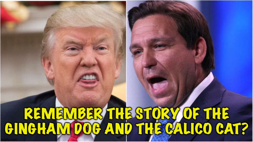 They tore each other to pieces for no apparent reason | REMEMBER THE STORY OF THE GINGHAM DOG AND THE CALICO CAT? | image tagged in trump,desantis | made w/ Imgflip meme maker