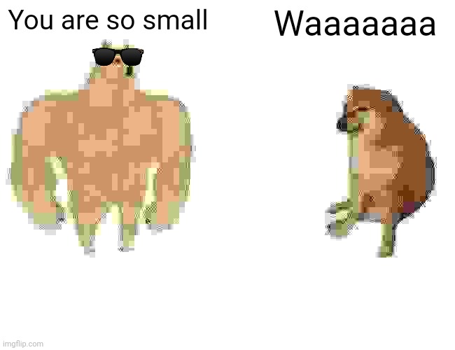 Buff Doge vs. Cheems | You are so small; Waaaaaaa | image tagged in memes,buff doge vs cheems | made w/ Imgflip meme maker