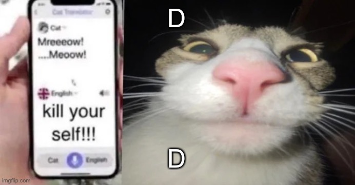 d | D; D | image tagged in d | made w/ Imgflip meme maker