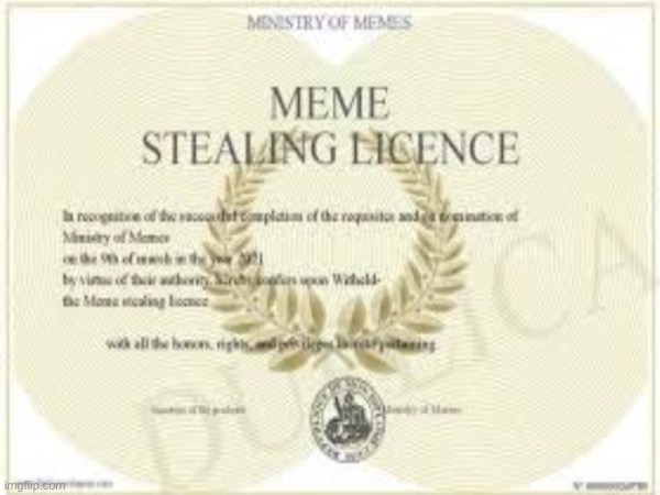 i have this | image tagged in meme stealing license,meme,why are you rading these tags | made w/ Imgflip meme maker