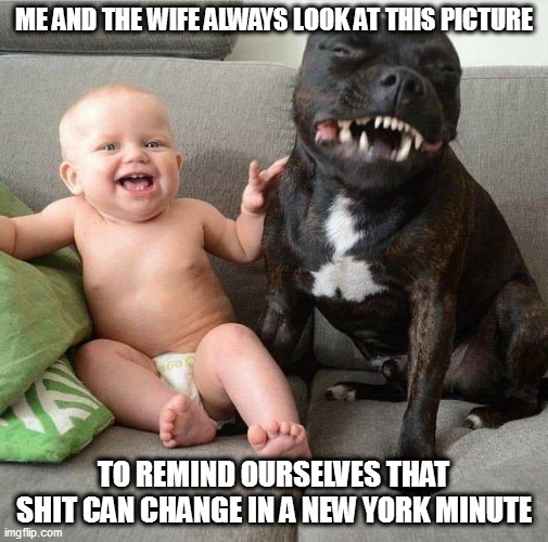 Baby and Dog Laughing | ME AND THE WIFE ALWAYS LOOK AT THIS PICTURE; TO REMIND OURSELVES THAT SHIT CAN CHANGE IN A NEW YORK MINUTE | image tagged in baby and dog laughing | made w/ Imgflip meme maker