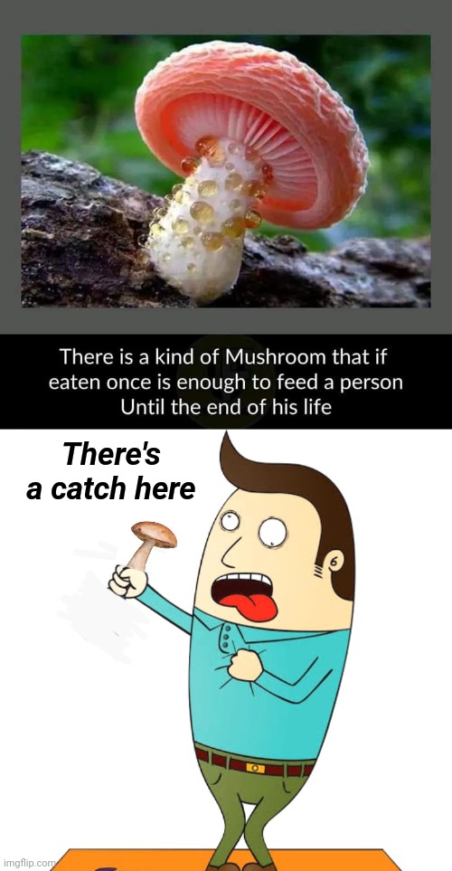 Never need to eat again | There's a catch here | image tagged in catch,mushroom | made w/ Imgflip meme maker