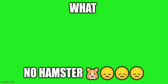 Hamster | WHAT; NO HAMSTER 🐹😞😞😞 | image tagged in hamster,glitch | made w/ Imgflip meme maker