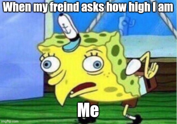 When you had a party | When my freind asks how high I am; Me | image tagged in memes,mocking spongebob | made w/ Imgflip meme maker