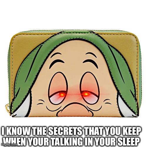 Wallet | I KNOW THE SECRETS THAT YOU KEEP
WHEN YOUR TALKING IN YOUR SLEEP | made w/ Imgflip meme maker