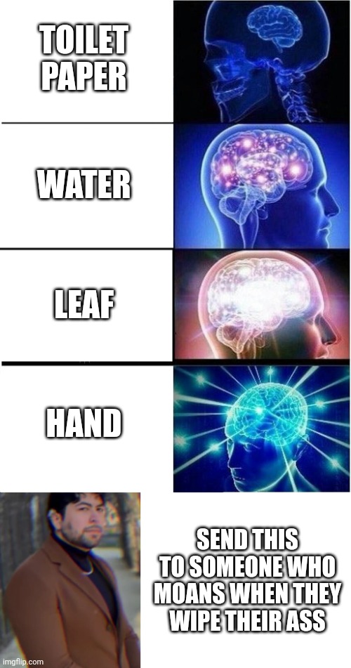 TOILET PAPER WATER LEAF HAND SEND THIS TO SOMEONE WHO MOANS WHEN THEY WIPE THEIR ASS | image tagged in memes,expanding brain,master oogwgay template | made w/ Imgflip meme maker