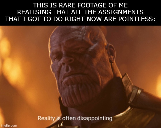 I have ten assignments and not a single one of them is teaching me a damn thing about life. | THIS IS RARE FOOTAGE OF ME REALISING THAT ALL THE ASSIGNMENTS THAT I GOT TO DO RIGHT NOW ARE POINTLESS: | image tagged in reality is often dissapointing,too true,relatable,funny | made w/ Imgflip meme maker