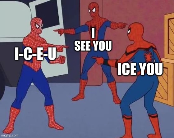 Which one is it? | I SEE YOU; I-C-E-U; ICE YOU | image tagged in 3 spiderman pointing | made w/ Imgflip meme maker