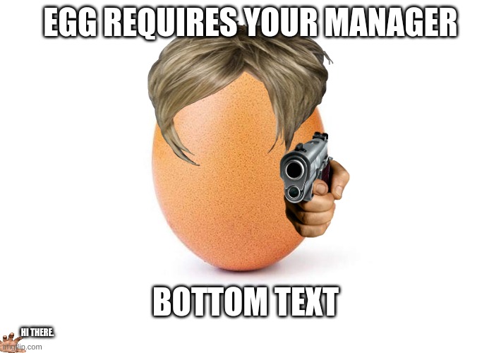 Eggbert | EGG REQUIRES YOUR MANAGER; BOTTOM TEXT; HI THERE. | image tagged in eggbert | made w/ Imgflip meme maker