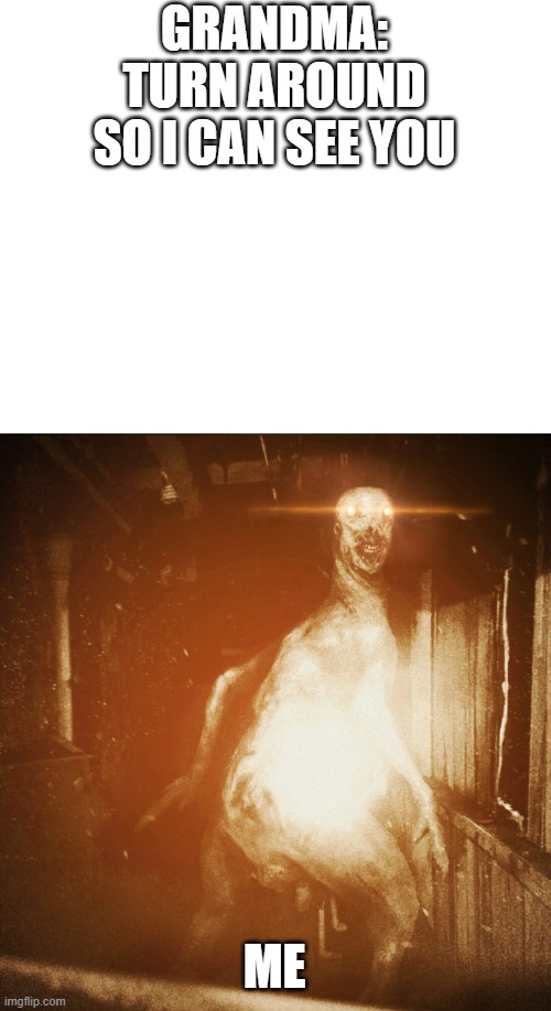 Scp | GRANDMA: TURN AROUND SO I CAN SEE YOU; ME | image tagged in scp | made w/ Imgflip meme maker