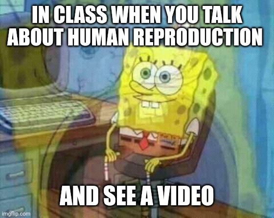 I'm an innocent person... | IN CLASS WHEN YOU TALK ABOUT HUMAN REPRODUCTION; AND SEE A VIDEO | image tagged in spongebob panic inside | made w/ Imgflip meme maker