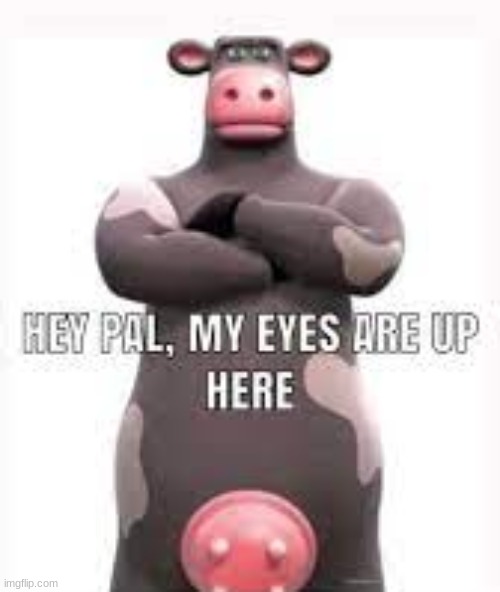 How tf does he know | image tagged in barnyard,meme,funny | made w/ Imgflip meme maker