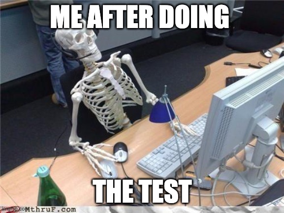 the test | ME AFTER DOING; THE TEST | image tagged in waiting skeleton | made w/ Imgflip meme maker