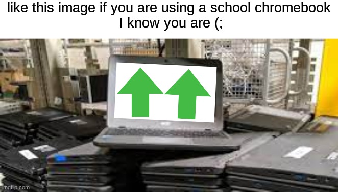 I'm using one... (You don't have to vote if you don't want to) | like this image if you are using a school chromebook
 I know you are (; | image tagged in memes,funny,stop reading the tags,bruh,how,chromebook | made w/ Imgflip meme maker