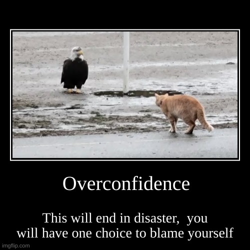 Overconfidence | Overconfidence | This will end in disaster,  you will have one choice to blame yourself | image tagged in funny,demotivationals,cat,eagle,confidence | made w/ Imgflip demotivational maker