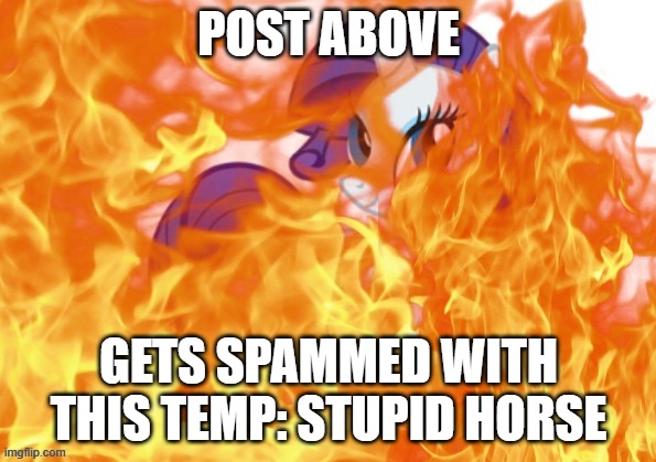 stupid horse | POST ABOVE; GETS SPAMMED WITH THIS TEMP: STUPID HORSE | image tagged in stupid horse | made w/ Imgflip meme maker